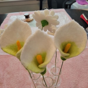 Cathi added a photo of their purchase