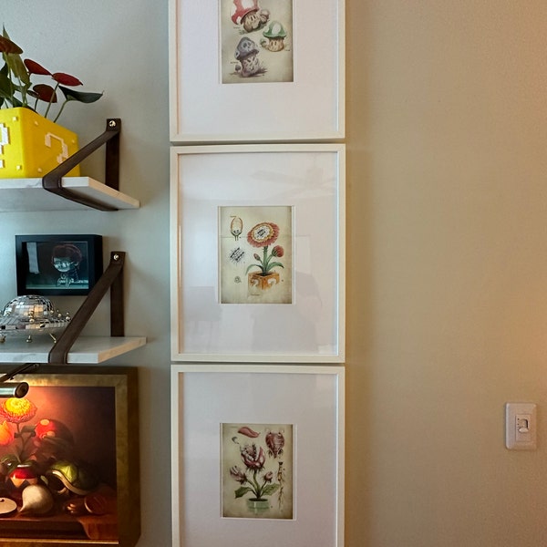 SET of 3 - Super Mario Botanical Illustration 8.5