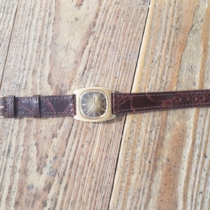 Ostrich Brown Leather Watch Strap 24mm ,22mm,21mm,20mm,19mm,18mm,16mm ...