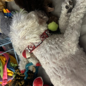 Sylvia added a photo of their purchase