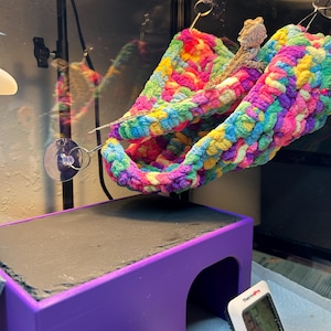 Ashley added a photo of their purchase