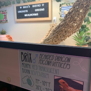 Blackjackalope heeft een foto van de aankoop toegevoegd