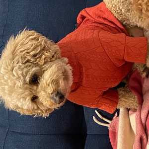 Elizabeth a ajouté une photo de son achat
