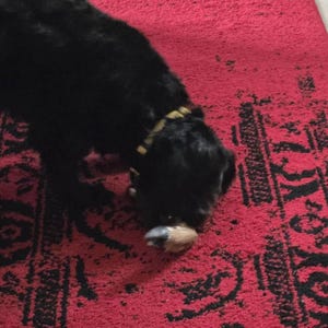 W ha añadido una foto de su compra