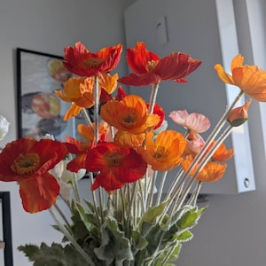 Anna a ajouté une photo de son achat