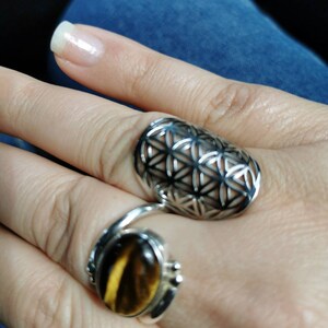 DRACONIXIA added a photo of their purchase