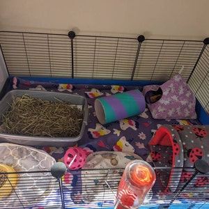 Amberley added a photo of their purchase