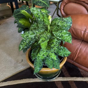 Danae added a photo of their purchase