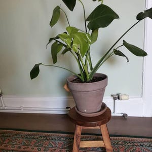 Sarah added a photo of their purchase
