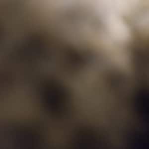 Patrycja added a photo of their purchase