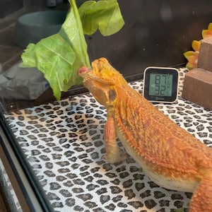 Stephanie added a photo of their purchase