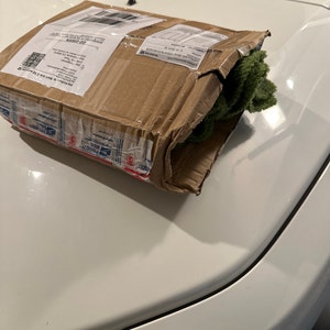 Daniel added a photo of their purchase