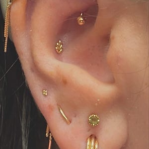 Sara added a photo of their purchase
