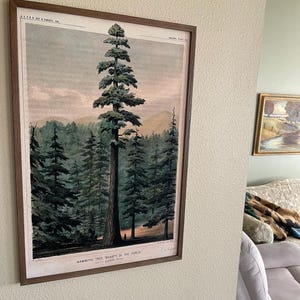 Mark ha añadido una foto de su compra