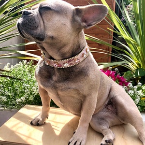 Lucy added a photo of their purchase