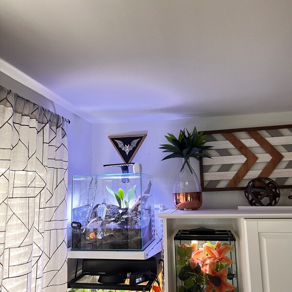 CARVED Wall Hanging Spooky Bat Triangle - Etsy