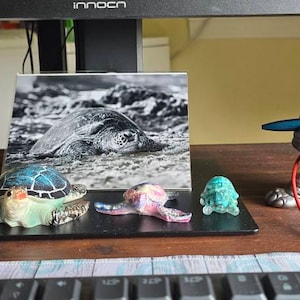 Crystal added a photo of their purchase