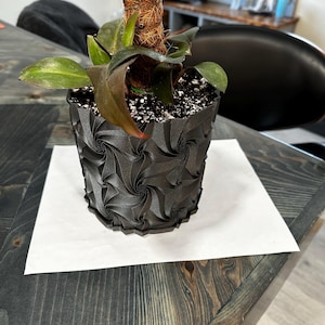 Ranelle added a photo of their purchase
