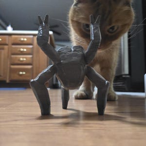 Katelyn heeft een foto van de aankoop toegevoegd