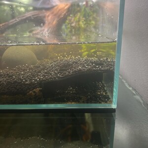 Michaela さんが購入した商品の写真を追加しました