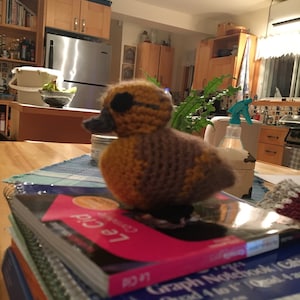 Partridge in a Pear Tree Crochet Pattern / Crochet Partridge | Etsy