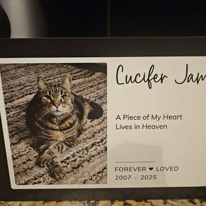 shelby added a photo of their purchase