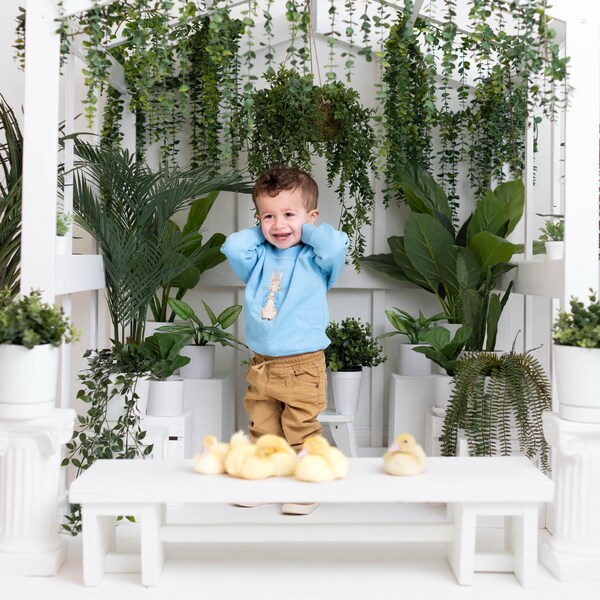 Peter Rabbit Adult Hooded Sweatshirt-with Large Peter Embroidery, 7 ...