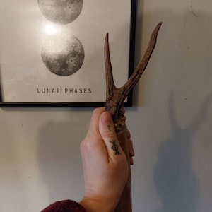 Lisa added a photo of their purchase