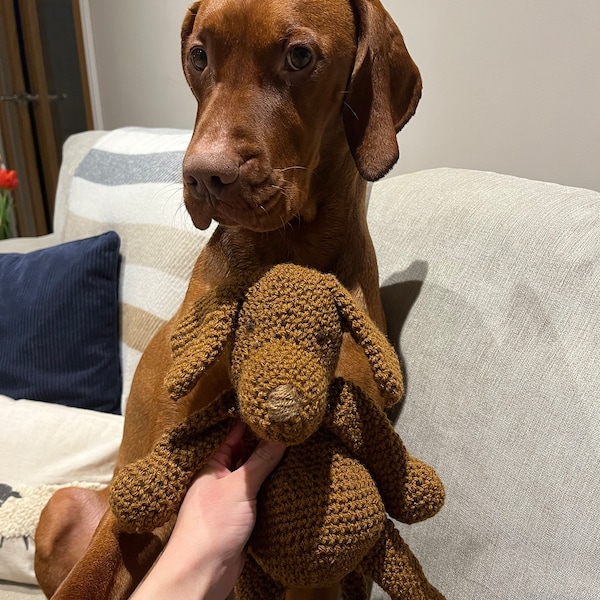 Vizsla Puppy Laying Down Outside Under Log Table With Stuffed Animal Toy Stock Photo