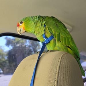Saturn added a photo of their purchase