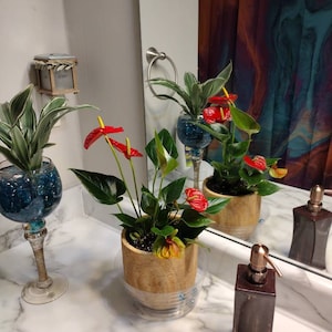Teresa added a photo of their purchase