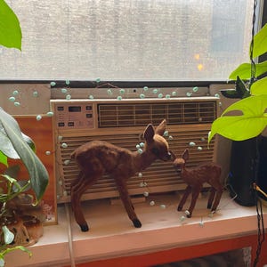 Paul added a photo of their purchase