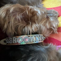 xs dog bow tie