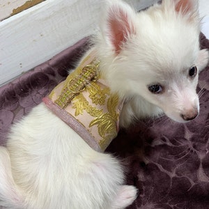 Shar added a photo of their purchase