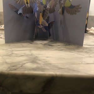 Sophia a ajouté une photo de son achat