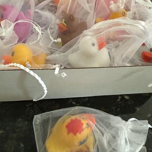 Kathy added a photo of their purchase