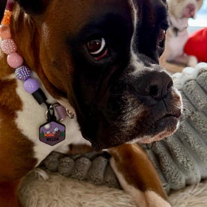 Jodi added a photo of their purchase