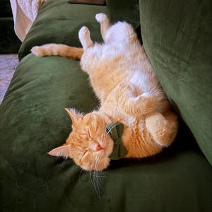 Amanda hat ein Foto des gekauften Artikels hinzugefügt