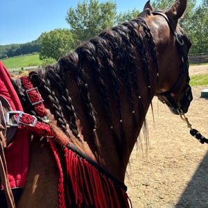 Tabitha added a photo of their purchase