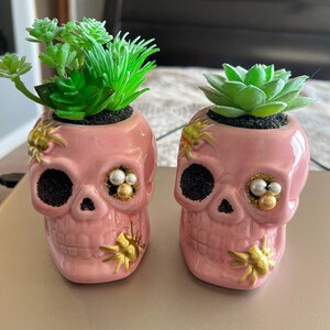 Aimee added a photo of their purchase