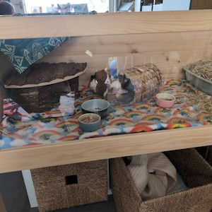 Leila added a photo of their purchase