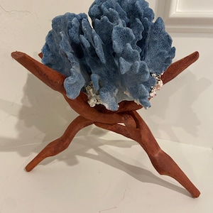 Large Wood Display Stand I Large Wooden Display Stand I Conch Shell ...