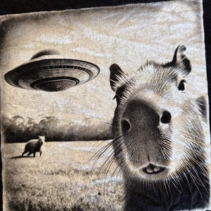 Chris hat ein Foto des gekauften Artikels hinzugefügt
