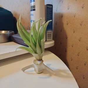 Elliott added a photo of their purchase