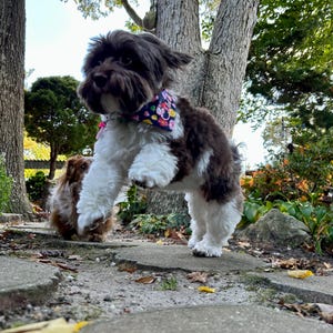 Brittney added a photo of their purchase