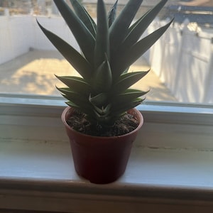 Janet added a photo of their purchase