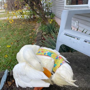 Acquirente Etsy ha aggiunto una foto del proprio acquisto