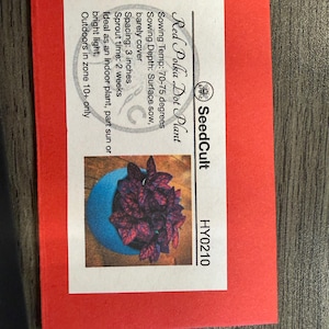 Lindsay added a photo of their purchase