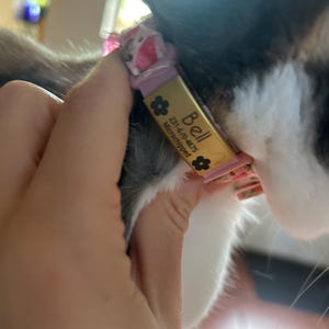 Aleigha ha añadido una foto de su compra