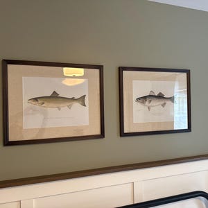 Brianna added a photo of their purchase